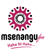 Msenangu logo